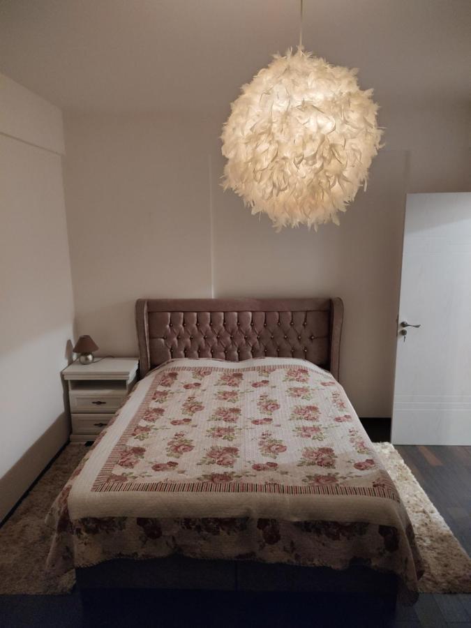 The Unique Apartment Roşu Exteriör bild
